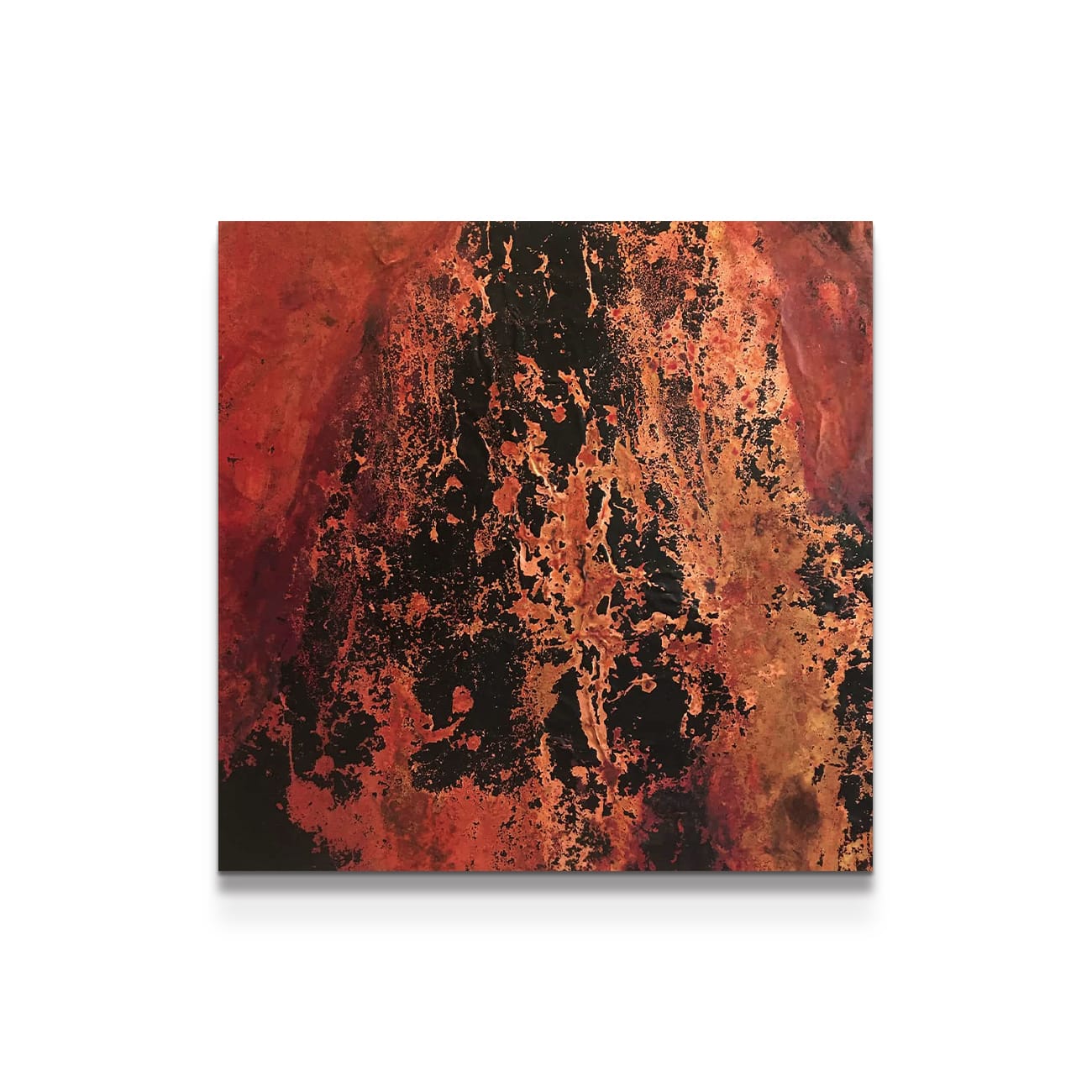 Rosanna Cattaneo 絵画 Rosanna Cattaneo 絵画